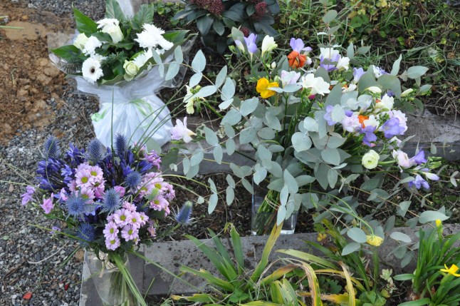 Photo Pascal Thénault 23 décembre 2014