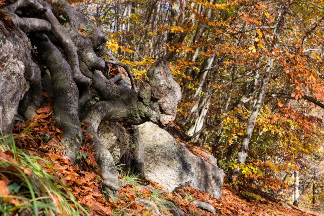 Troublant. Patrick Drouin