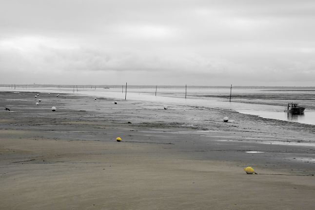 Photo Lucas Pintor 20 décembre 2014